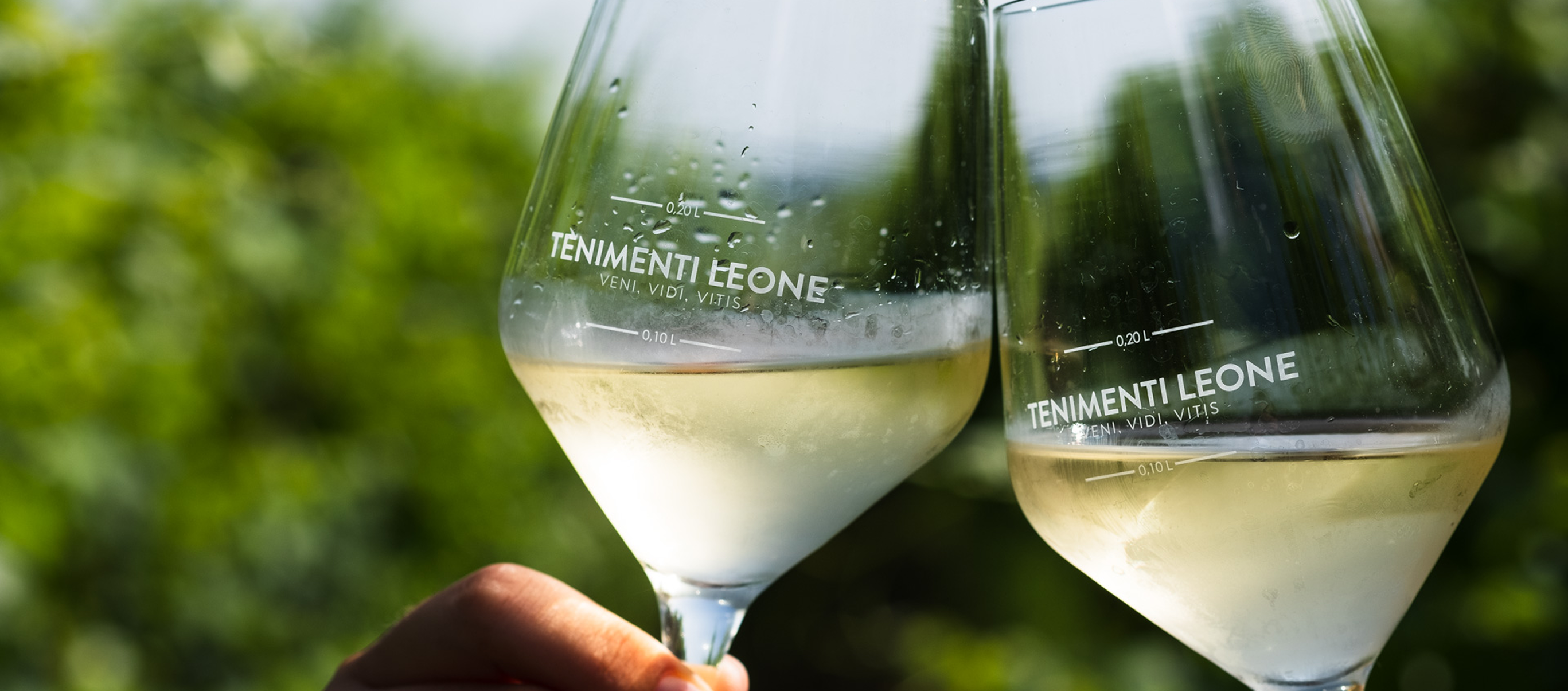 bio wines